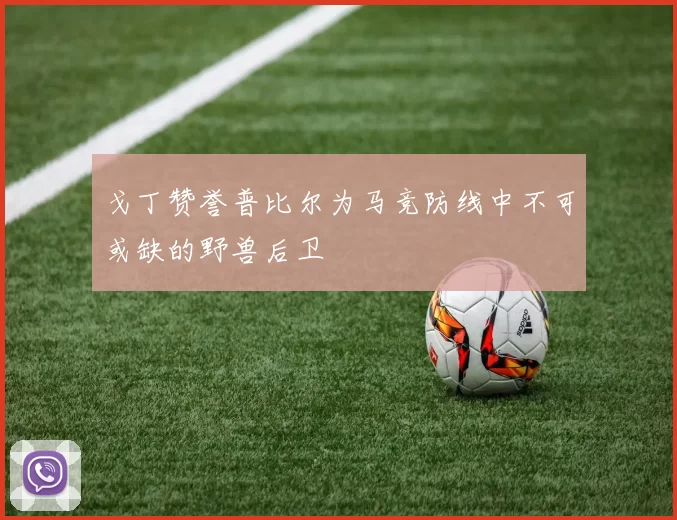 戈丁赞誉普比尔为马竞防线中不可或缺的野兽后卫